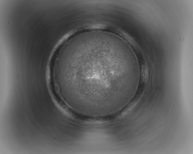 X0000114600726200910191618