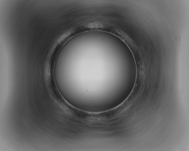 X0000114600727200910191618