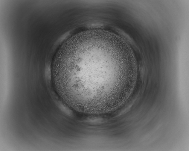 X0000114600729200910191618