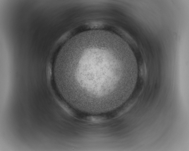 X0000114600733200910191618