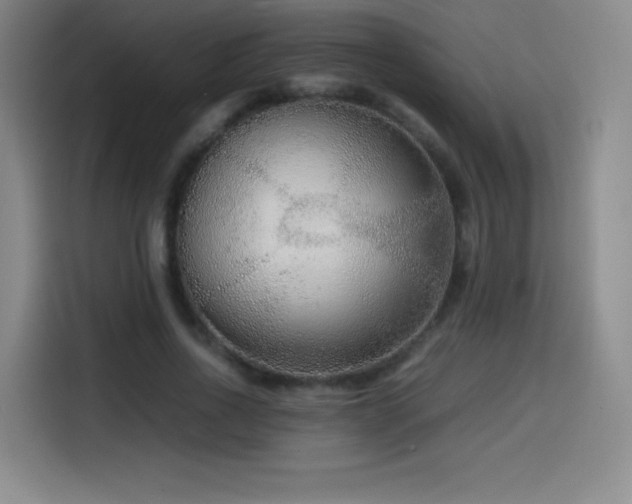 X0000114600734200910191618