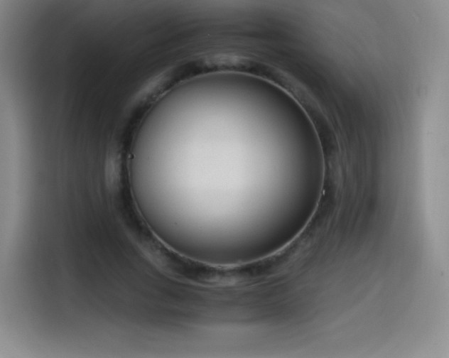 X0000114600735200910191618