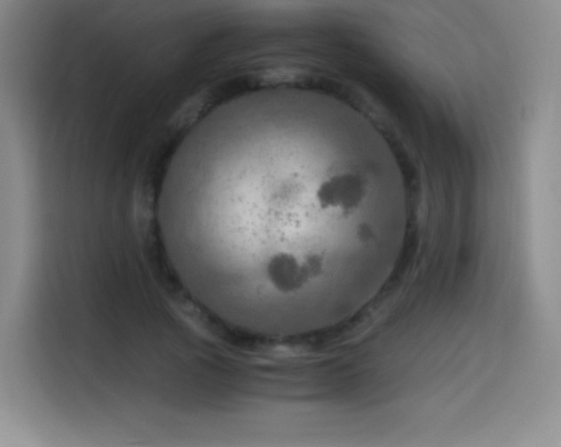 X0000114600737200910191618