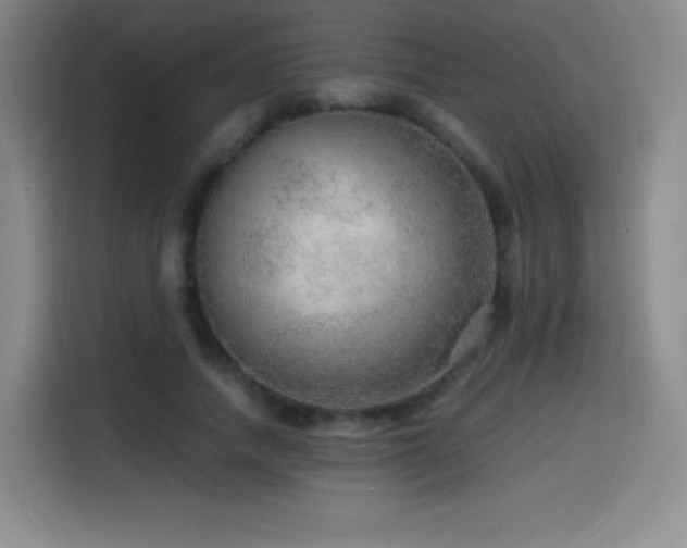 X0000114600738200910191618