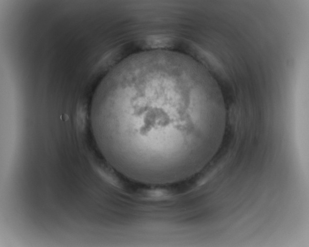 X0000114600741200910191618