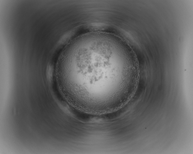 X0000114600742200910191618