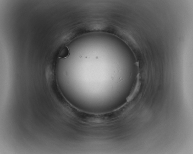 X0000114600743200910191618