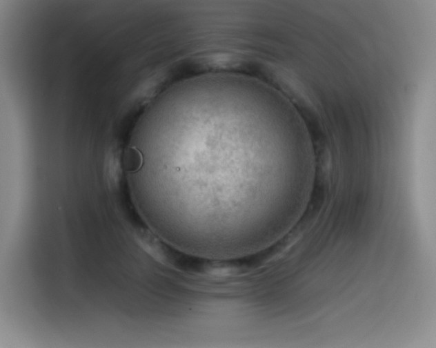 X0000114600746200910191618