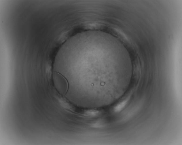 X0000114600749200910191618