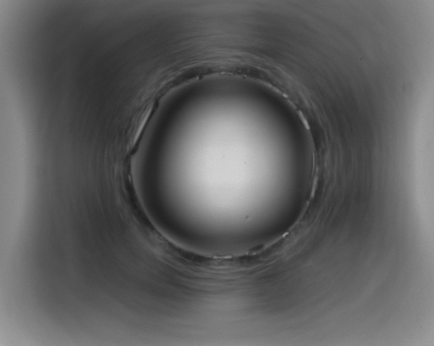 X0000114600750200910191618