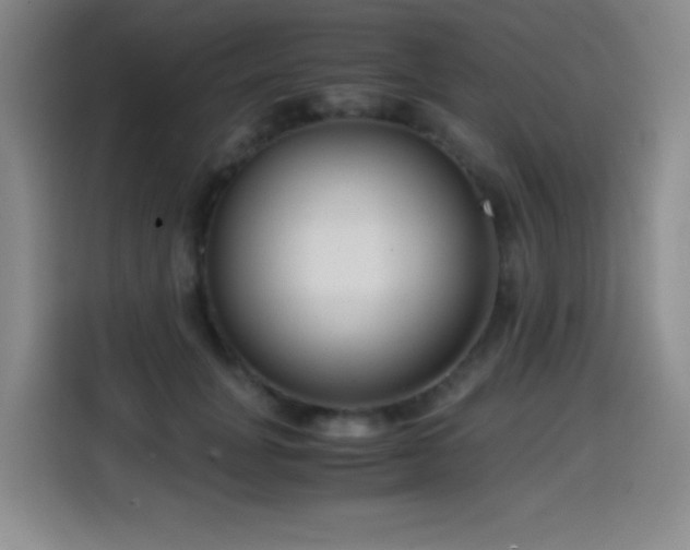 X0000114600751200910191618