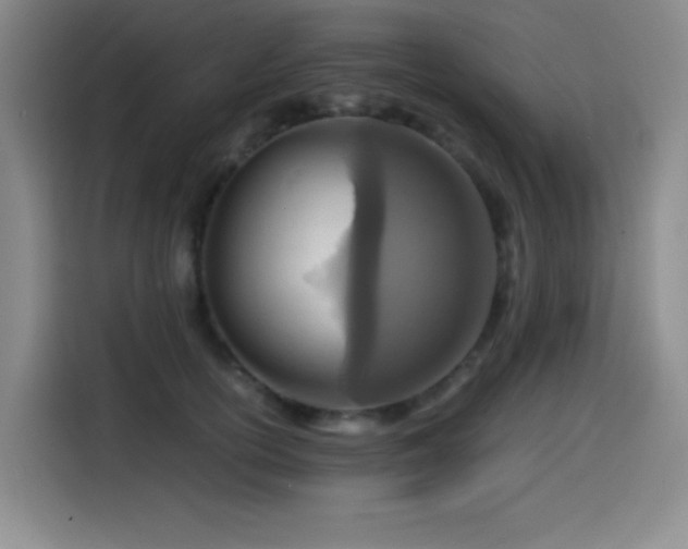 X0000114600754200910191618