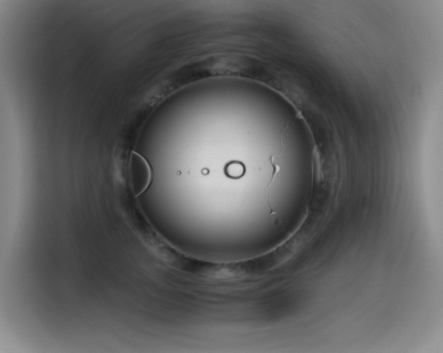 X0000114600755200910191618