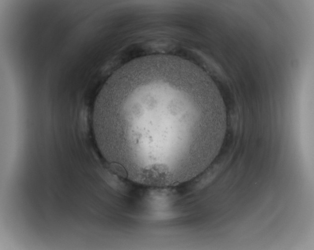 X0000114600757200910191618