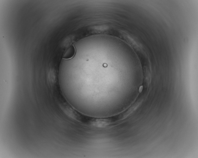 X0000114600758200910191618