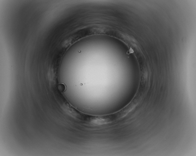 X0000114600759200910191618