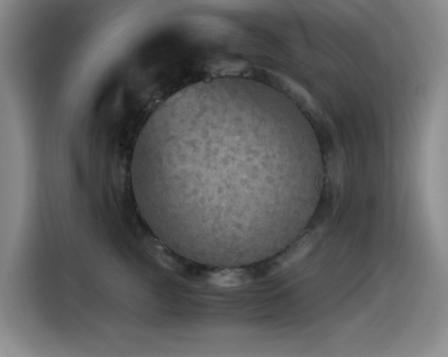 X0000114600761200910191618