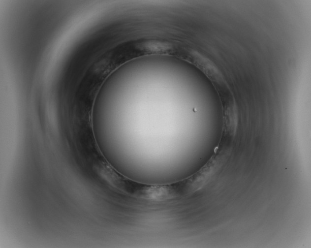 X0000114600762200910191618