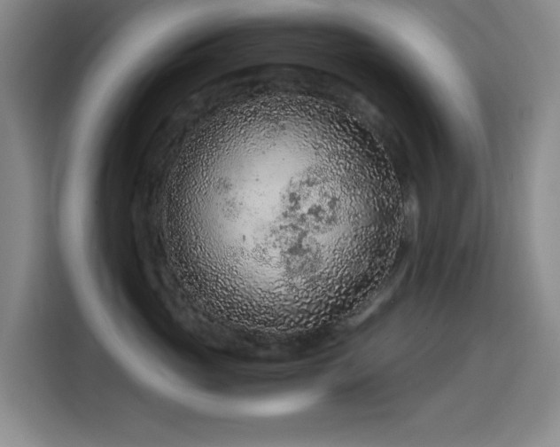 X0000114600765200910191618