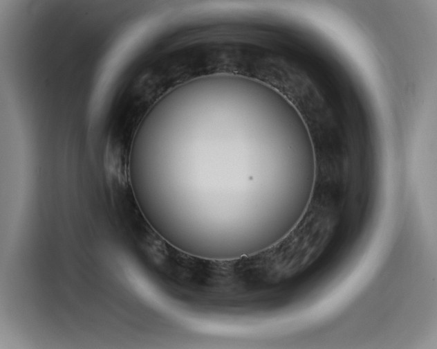 X0000114600766200910191618