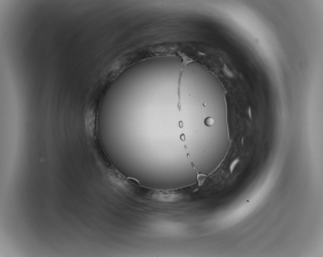 X0000114600767200910191618