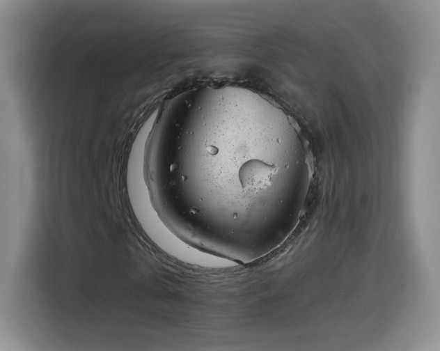 X0000114600769200910191618