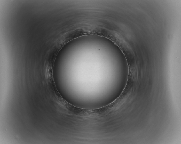 X0000114600770200910191618