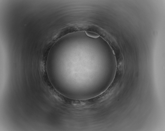 X0000114600772200910191618