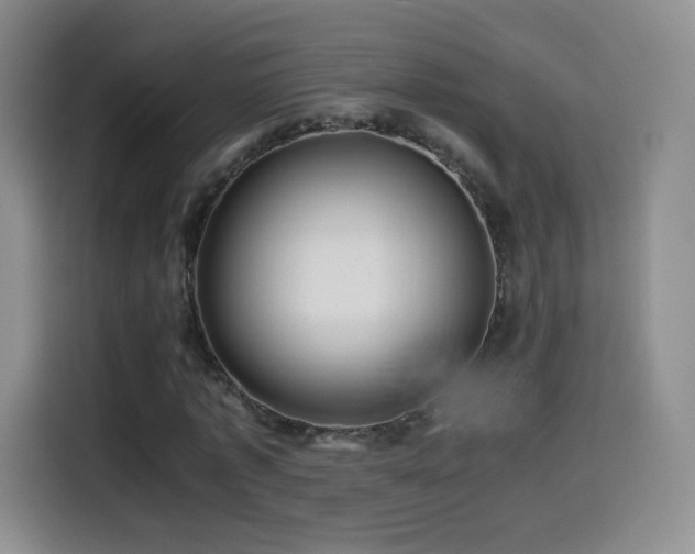 X0000114600773200910191618