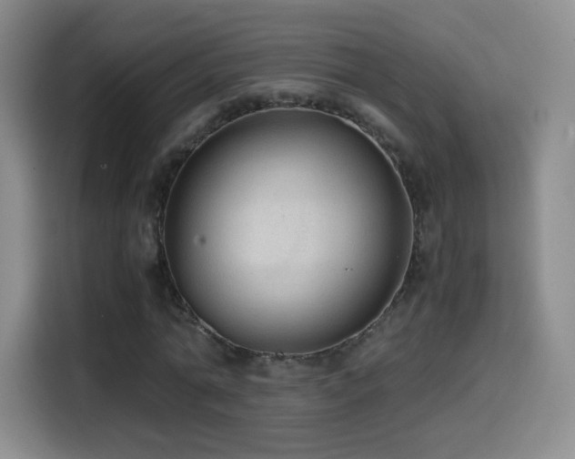 X0000114600774200910191617