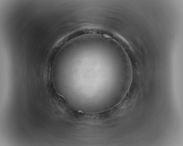 X0000114600775200910191617