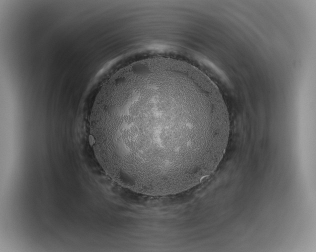 X0000114600776200910191617