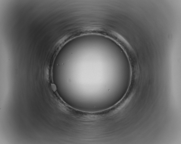 X0000114600777200910191617