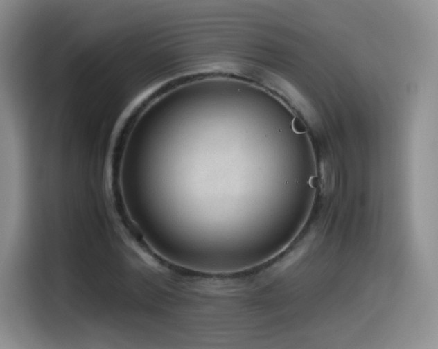 X0000114600780200910191617