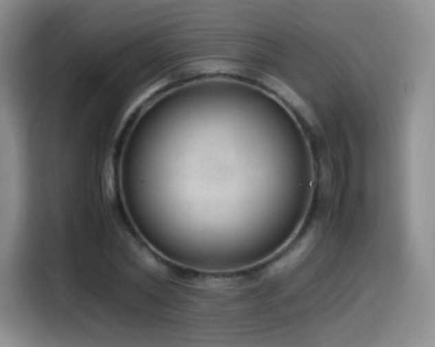 X0000114600782200910191617