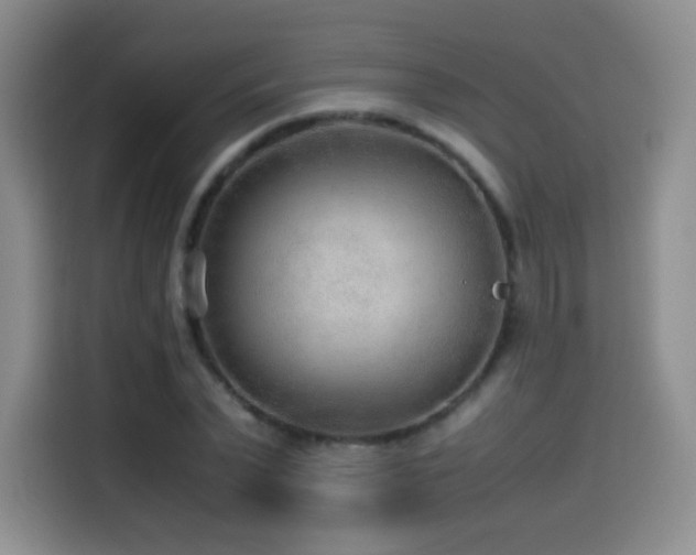 X0000114600783200910191617