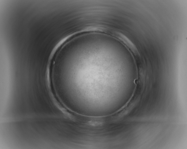 X0000114600788200910191617