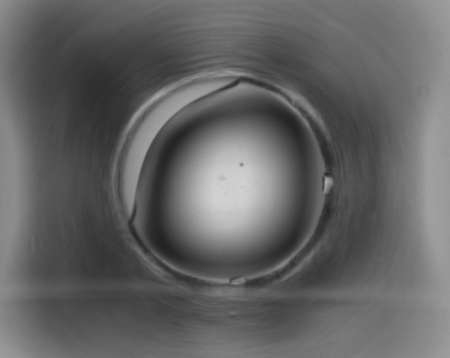 X0000114600789200910191617