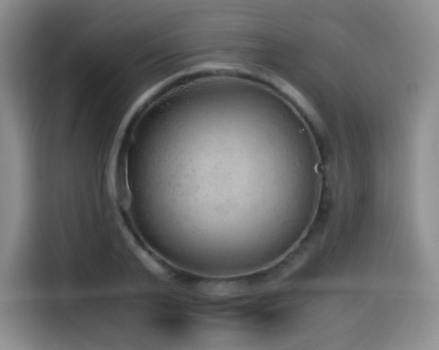 X0000114600791200910191617