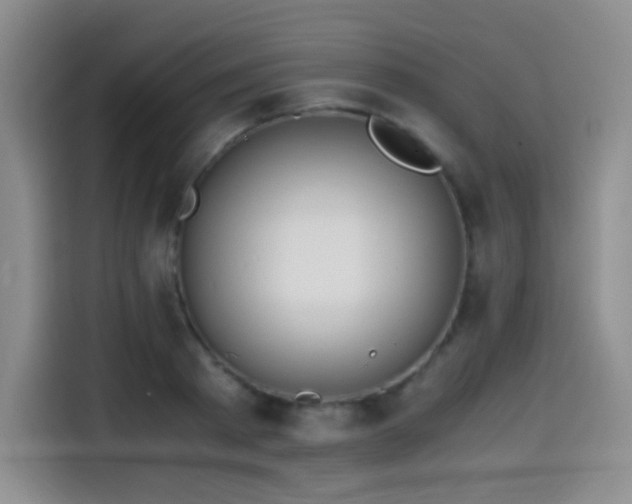 X0000114600793200910191617