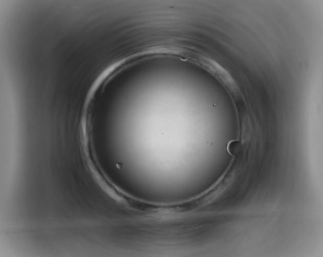 X0000114600796200910191617