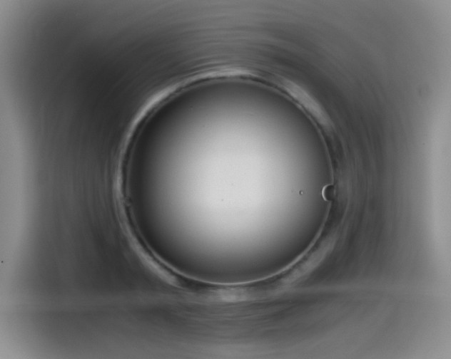 X0000114600797200910191617