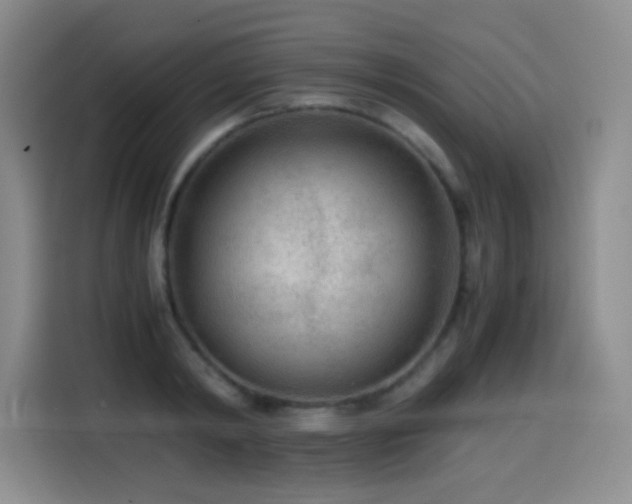 X0000114600798200910191617