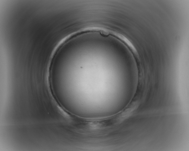 X0000114600799200910191617