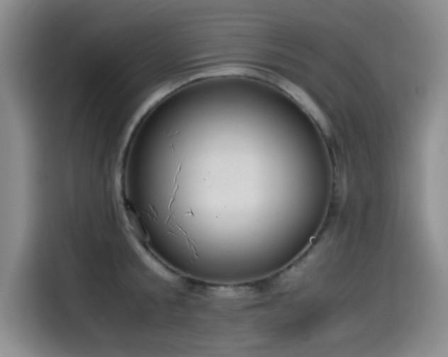 X0000114600805200910191617