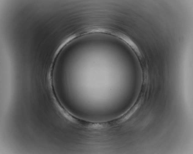 X0000114600806200910191617