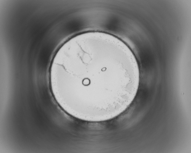 X0000114600807200910191617