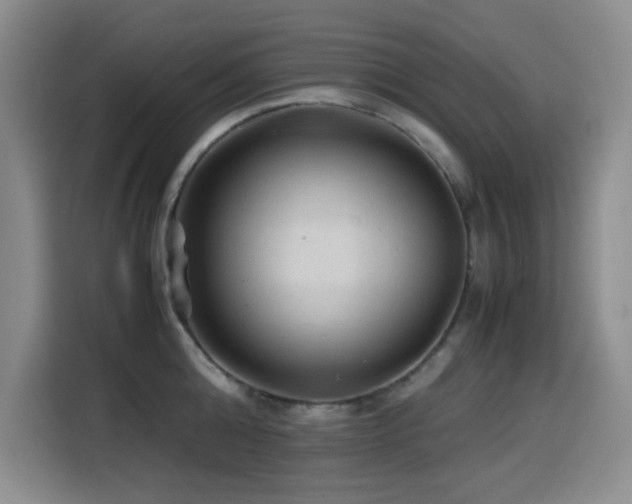 X0000114600808200910191617