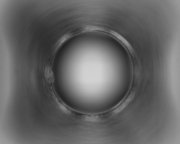 X0000114600809200910191617