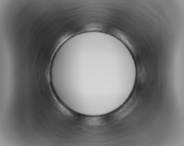 X0000114600810200910191617